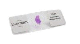 Lâmina Preparada Fibrossarcoma - He - Lm-278 - Lumen